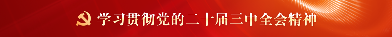 二十届三中全会1334_128.png