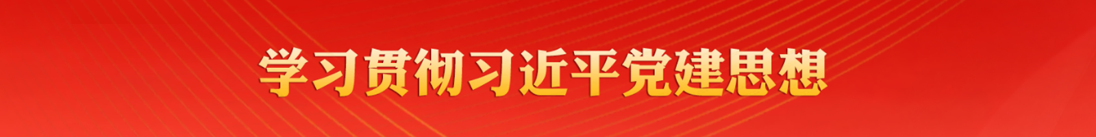 学习贯彻习近平党建思想