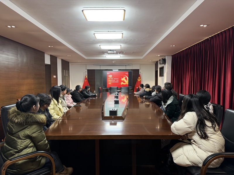 江苏省兴化市税务局党组织在会议室通过电视集中观看《榜样10》节目.jpg